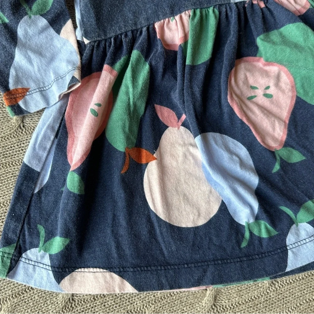 EUC Carter’s Baby Girl Outfit Set, Pink & Blue Pear, 9 Months